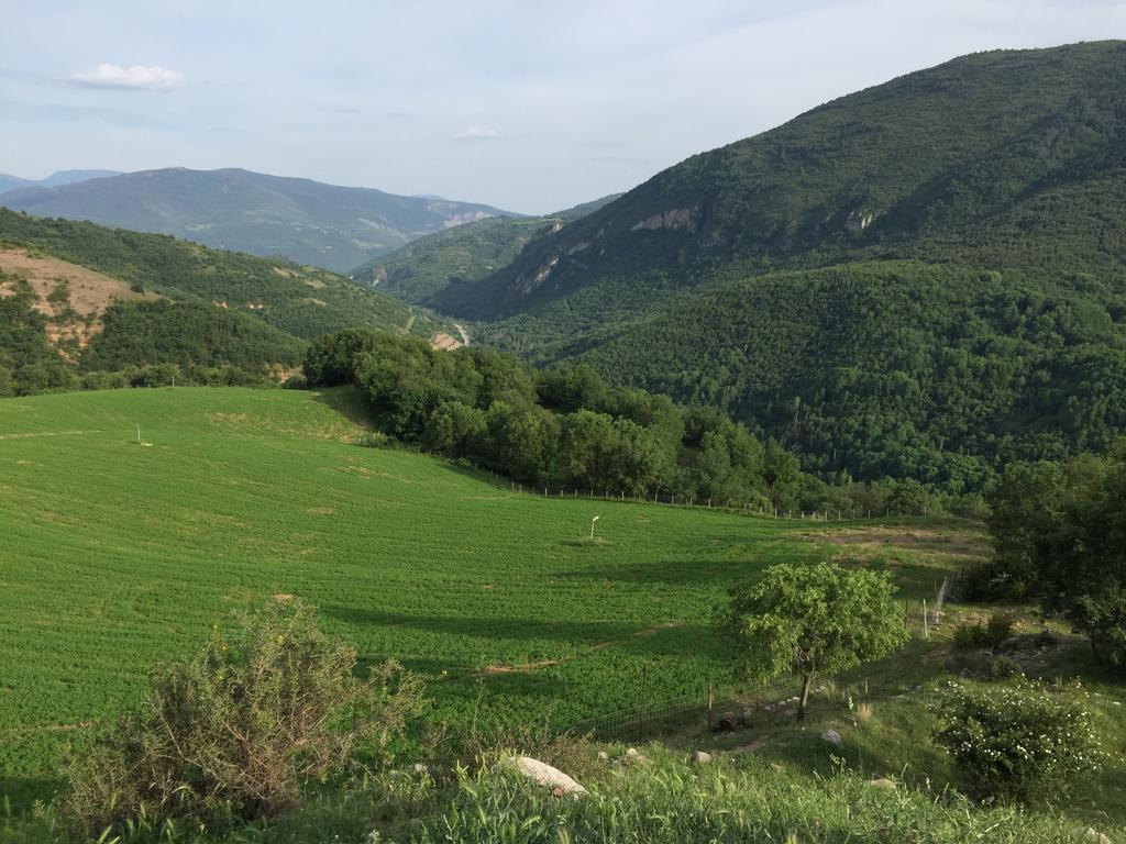 La Fusteria Del Casat Apartment Sarroca de Bellera Luaran gambar