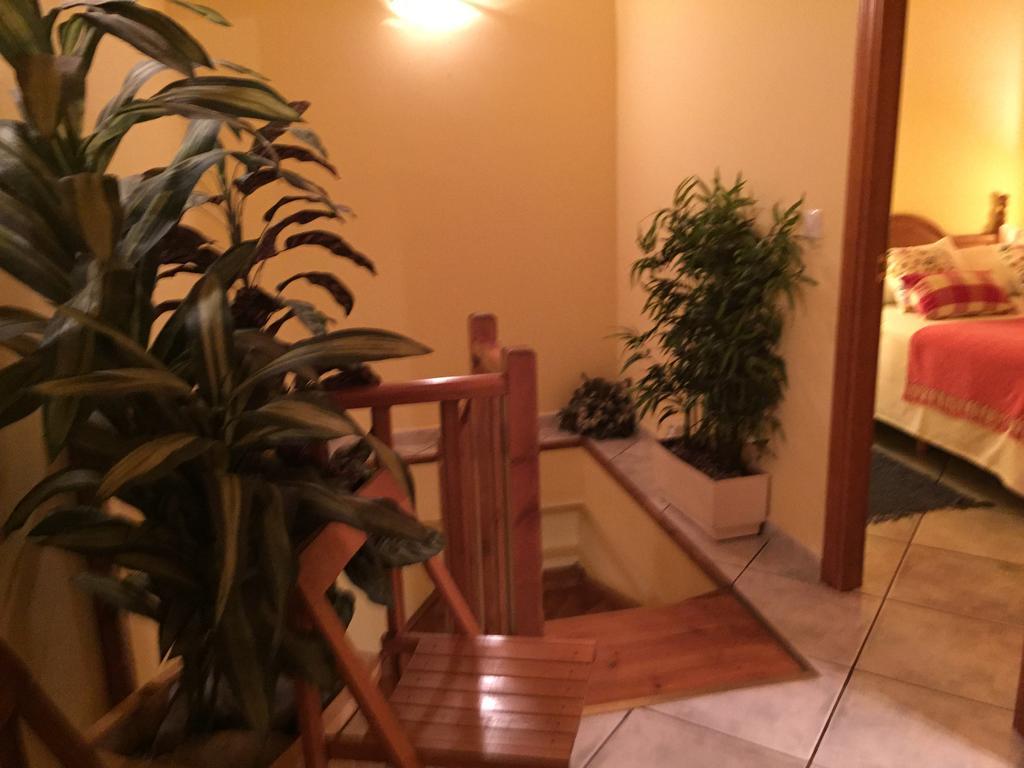 La Fusteria Del Casat Apartment Sarroca de Bellera Luaran gambar